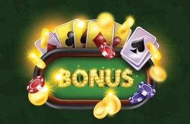 5333 bat